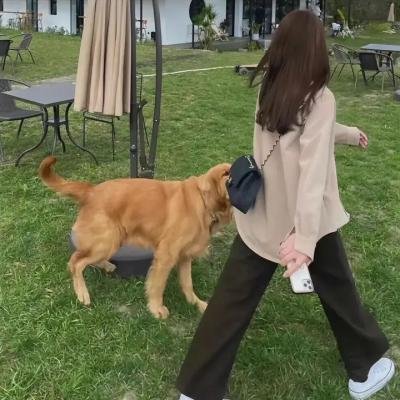完美娇妻养成班